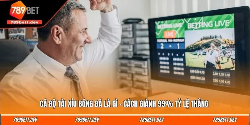 tai xiu bong da la gi