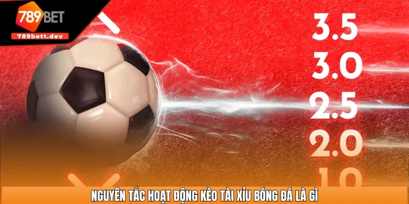 Nguyên tắc hoạt động kèo tài xỉu bóng đá là gì