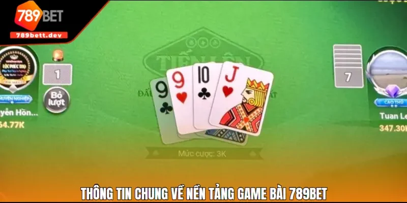 Thông tin chung về nền tảng game bài 789BET